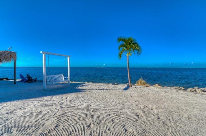 441-Waterfront, Amazing Views, Wifi, Pool And Close To Bucs Stadium Tampa Eksteriør bilde