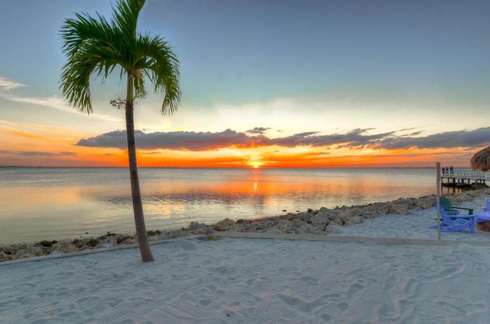 441-Waterfront, Amazing Views, Wifi, Pool And Close To Bucs Stadium Tampa Eksteriør bilde