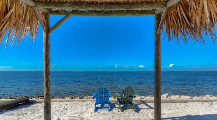 441-Waterfront, Amazing Views, Wifi, Pool And Close To Bucs Stadium Tampa Eksteriør bilde